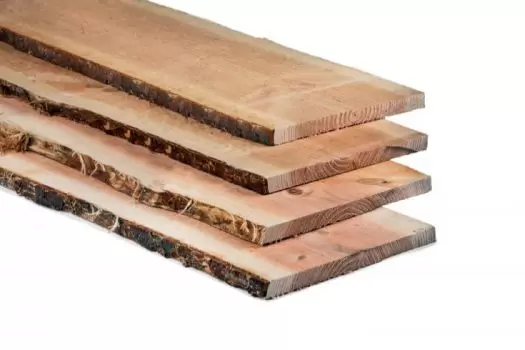 Schaaldeel 18 x &plusmn;170