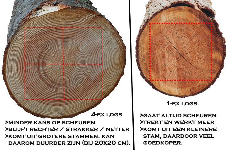 douglas-4exlogs-1exlogs-voorbeeld-stam