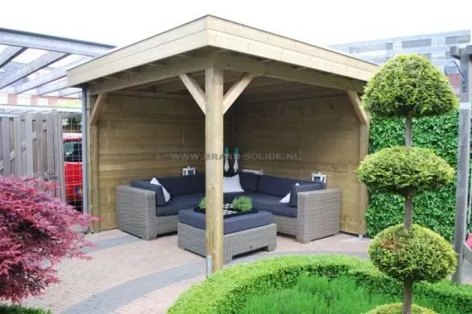 Overkapping vuren 300 x 300