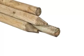 Ronde Palen