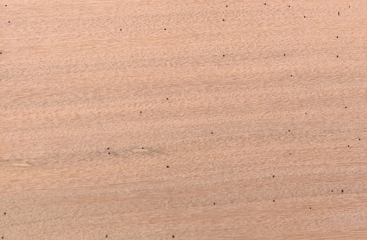 Pineholes in Bangkirai