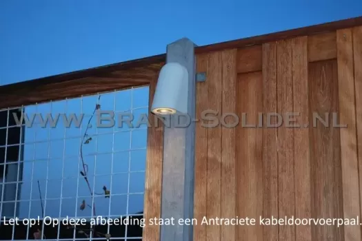 Betonpaal Lichtgrijs met Kabeldoorvoer