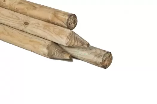 Grenen Boompaal &Oslash;6 cm