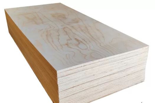 Chiliplexplaat 122 x 244 (9mm)