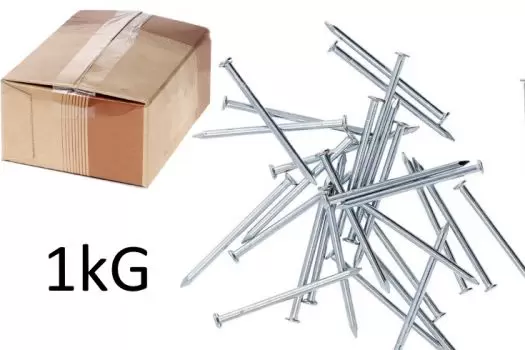 Dakspijkers 2.4 x 50 mm